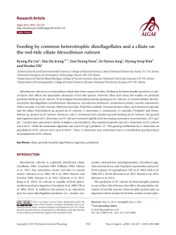 Feeding by common heterotrophic dinoflagellates and a