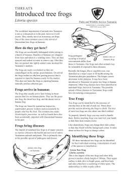 Introduced tree frogs - Department of Primary Industries, Parks