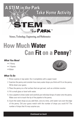 How Much Water Can Fit on a Penny?