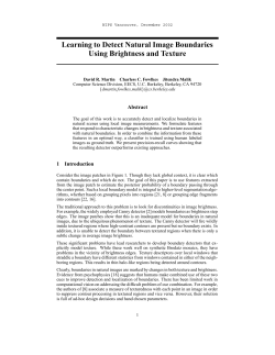 Learning to Detect Natural Image Boundaries Using Brightness and