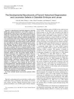 The Developmental Neurotoxicity of Fipronil: Notochord