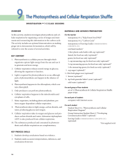 9 The Photosynthesis and Cellular Respiration Shuffle