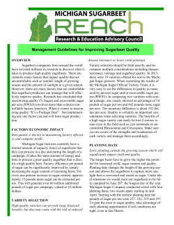 Management Guidelines for Improving Quality