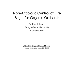 Non-Antibiotic Control of Fire Blight for Organic Orchards - wsu