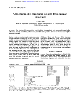 Aerococcus-like organisms isolated fromhuman infections