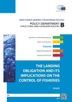 the landing obligation and its implications on the control of fisheries
