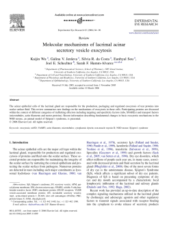 Molecular mechanisms of lacrimal acinar secretory vesicle exocytosis