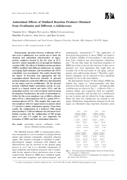 Antioxidant Effects of Maillard Reaction Products