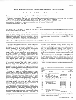 Genetic Identification of Clones of A rmillaria mellea in Coniferous
