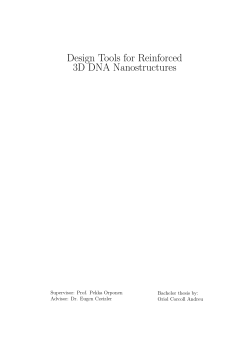 Design Tools for Reinforced 3D DNA Nanostructures