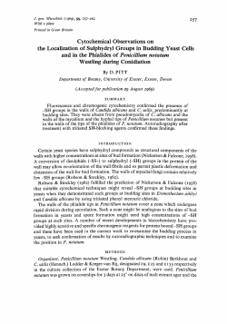 Cytochernical Observations on the Localization of