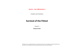 Survival of the Fittest