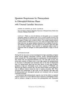 Quantum Requirement for Photosynthesis in