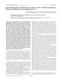 Salicylihalamide A Inhibits the V0 Sector of the V