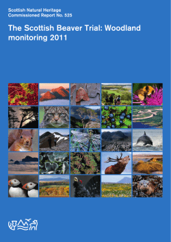 Commissioned Report 525: The Scottish Beaver Trial: Woodland
