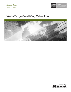 Annual report: Small Cap Value Fund