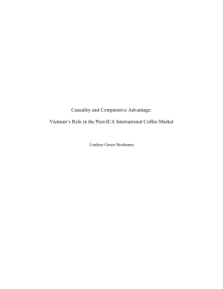 Causality and Comparative Advantage: Vietnam`s Role in the Post
