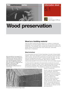 Maintenance Series 5.1: Wood Preservation