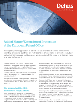 Added Matter/Extension of Protection at the European