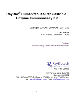 RayBio Human/Mouse/Rat Gastrin-1 Enzyme