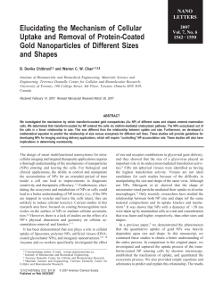 Elucidating the Mechanism of Cellular Uptake and Removal of
