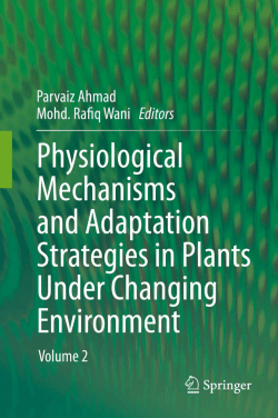 (2014) Growth patterns of tomato plants