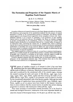 The Formation and Properties of the Organic Matrix of Reptilian
