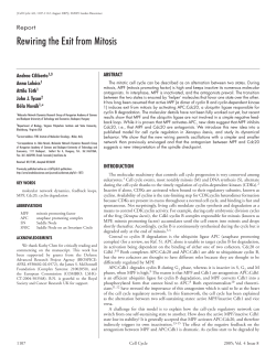 Rewiring the Exit from Mitosis - Molecular Network Dynamics