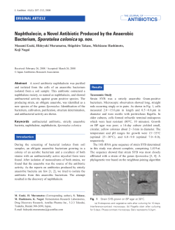 Naphthalecin, a Novel Antibiotic Produced by the Anaerobic