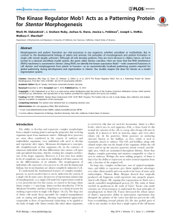 The Kinase Regulator Mob1 Acts as a Patterning Protein for Stentor