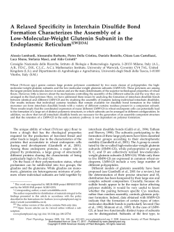 A Relaxed Specificity in Interchain Disulfide Bond