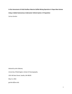 In Situ Assessment of Initial Seafloor Massive Sulfide