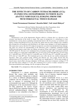 THE EFFECTS OF CARBON TETRACHLORIDE (CCl4) IN