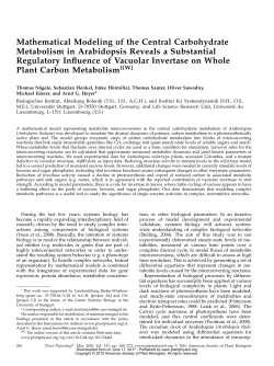 Mathematical Modeling of the Central