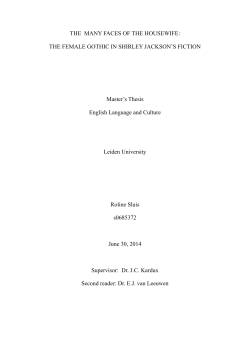 14_THE MANY FACES OF THE HOUSEWIFE