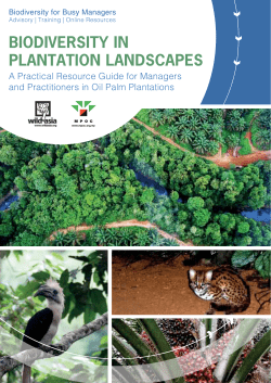 biodiversity in plantation landscapes