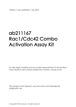 ab211167 Rac1/Cdc42 Combo Activation Assay Kit
