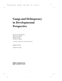 Gangs and Delinquency in Developmental Perspective