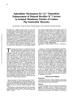 Subcellular Mechanism for Ca2+