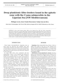 Deep planktonic filter-feeders found in the aphotic zone with the