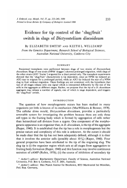 Evidence for tip control of the slug/fruit` switch in