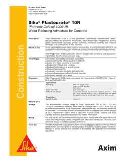 Sika&reg; Plastocrete&reg; 10N