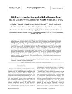 Lifetime reproductive potential of female blue crabs Callinectes