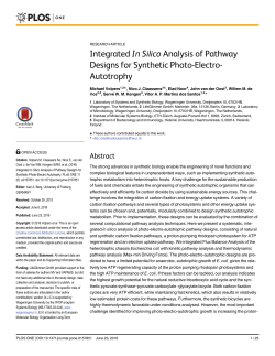 Integrated In Silico Analysis of Pathway Designs for