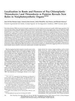 Localization in Roots and Flowers of Pea