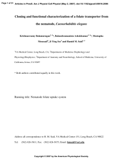Cloning and functional characterization of a folate - AJP-Cell