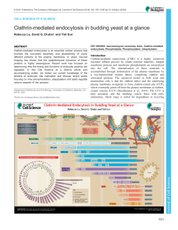 Clathrin-mediated endocytosis in budding yeast at a glance