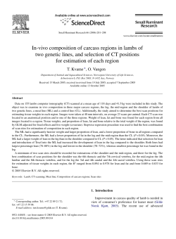 In-vivo composition of carcass regions in lambs of two genetic lines