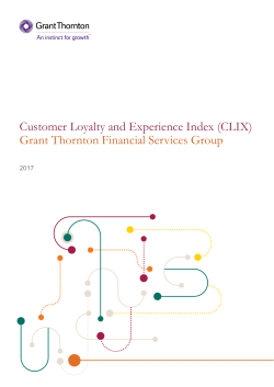 Customer Loyalty and Experience Index (CLIX)