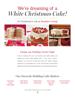 White Christmas Cake!